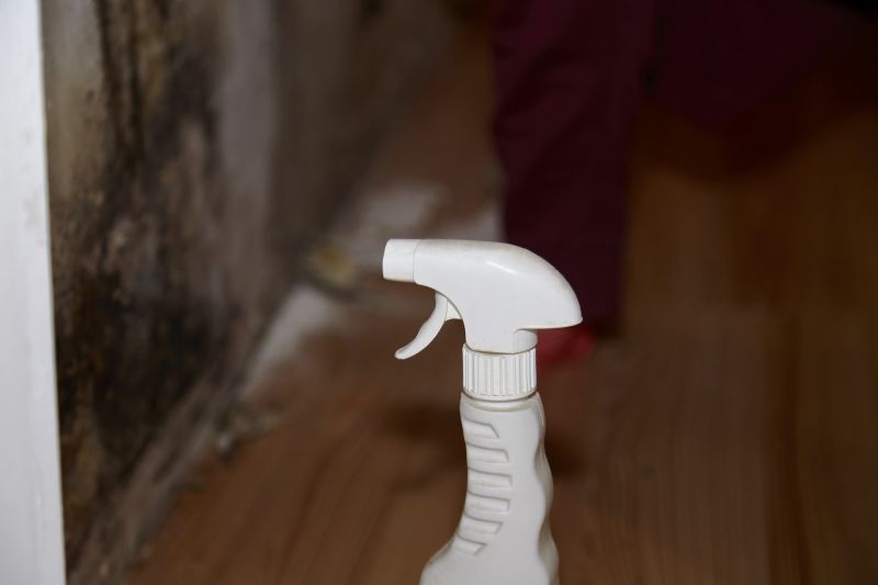 Air Duct Mold Removal in Boca Raton, FL
