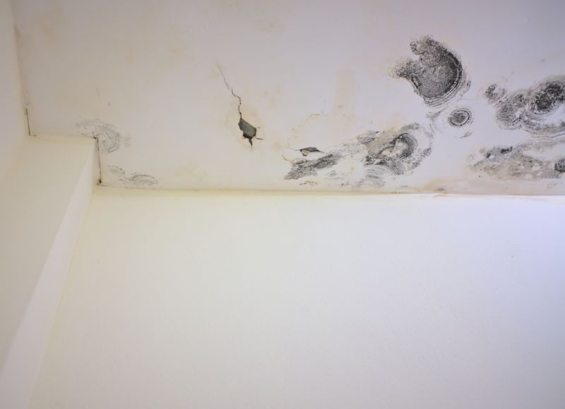 Attic Mold Remediation in West Palm Beach, FL