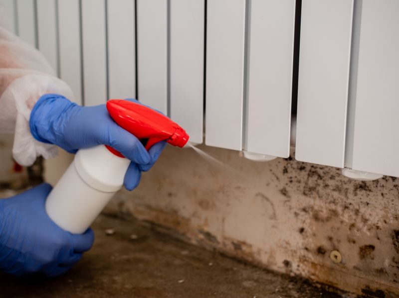 Attic Mold Remediation in Fort Lauderdale, FL