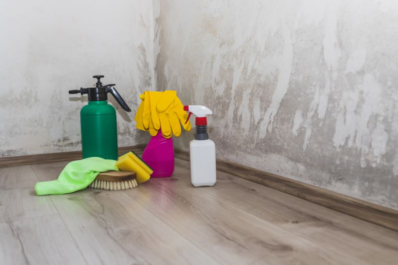 Attic Mold Removal in Fort Lauderdale, FL