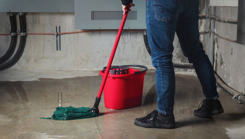 Basement Cleaning Service in Bellevue, WA