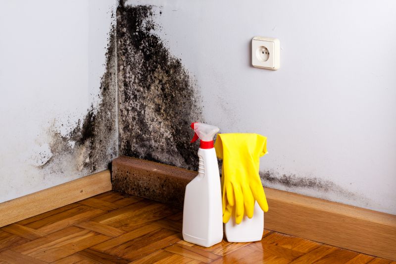 Basement Mold Remediation in West Palm Beach, FL