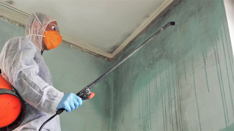 Basement Mold Removal in Fort Worth, TX