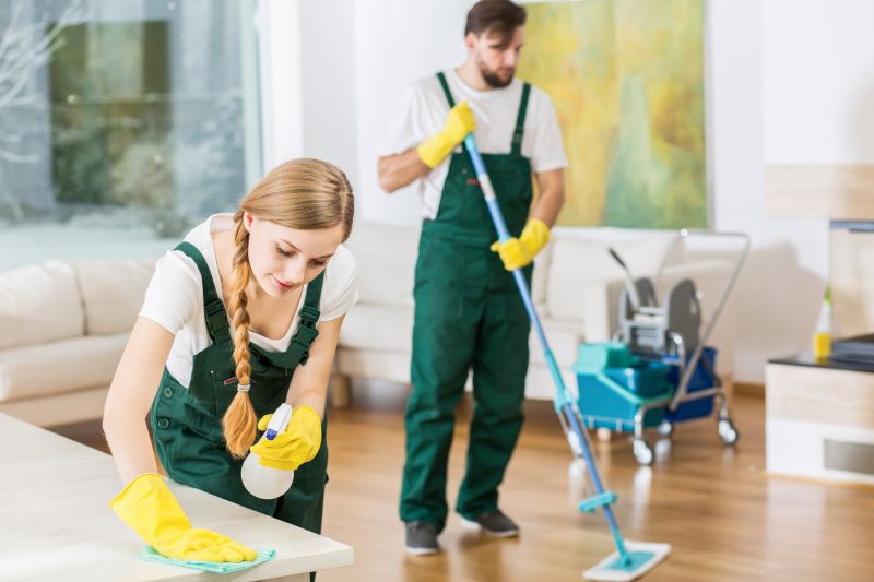 Basement Vacuuming in Redmond, WA
