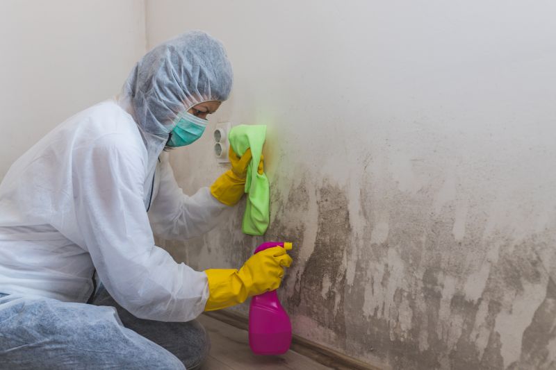 Black Mold Remediation in Bergen County, NJ