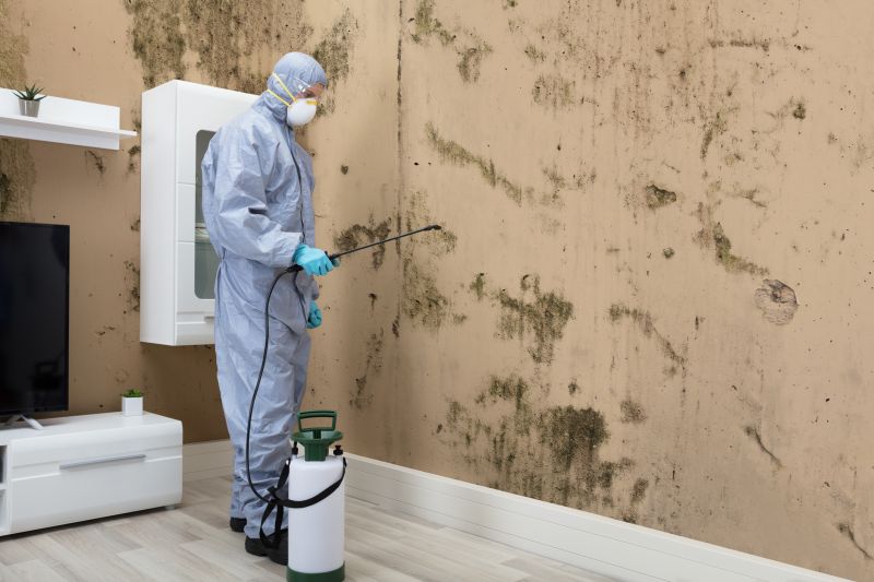 Black Mold Removal in Jupiter, FL
