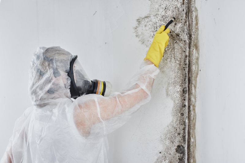 Black Mold Removal in Delray Beach, FL