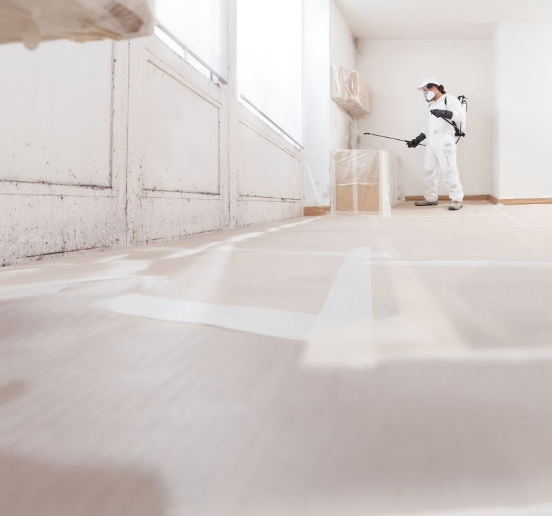 Garage Mold Remediation in Boca Raton, FL