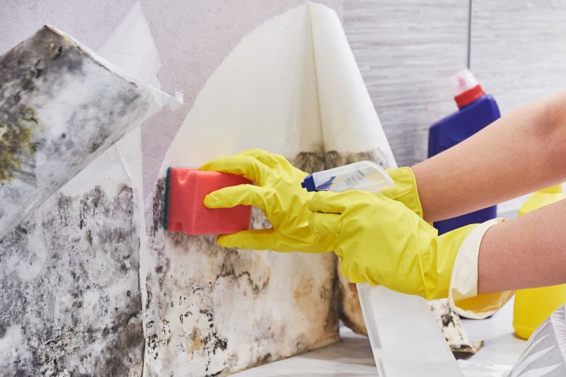 Garage Mold Remediation in Jupiter, FL