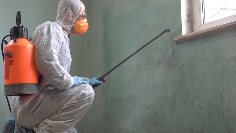 Mold Abatement in Fort Worth, TX