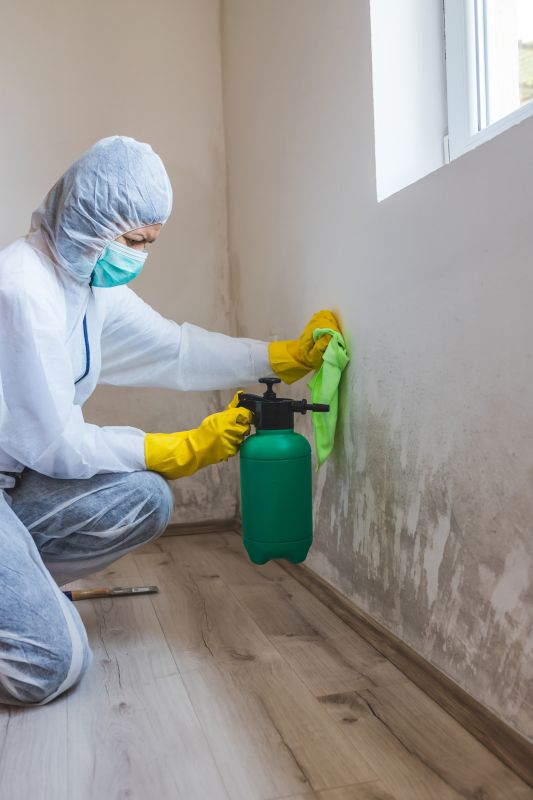 Mold Abatement Service in Dallas, TX