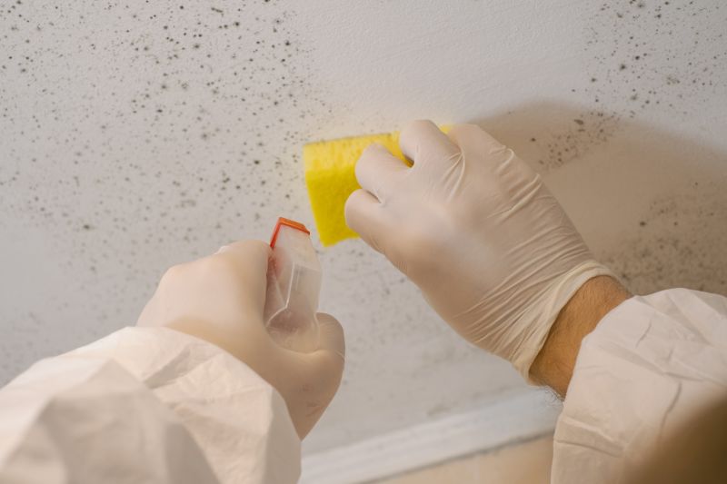 Mold Cleanup Service in West Palm Beach, FL