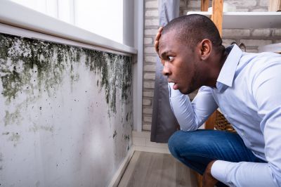 Mold Detection in Bergen County, NJ