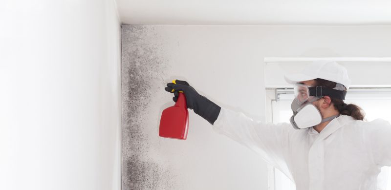 Mold Mitigation Service in West Palm Beach, FL