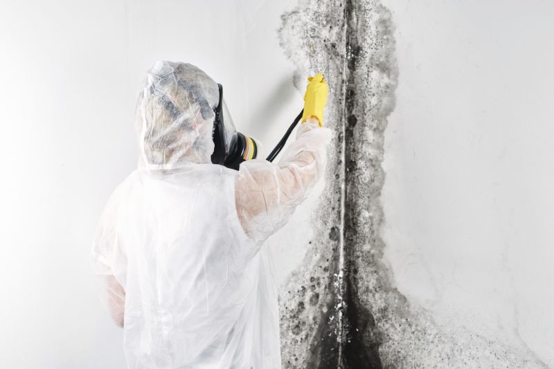 Mold Remediation Service in Broward County, FL
