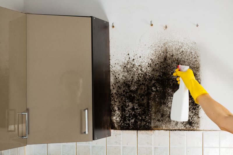 Mold Removal in Dallas, TX