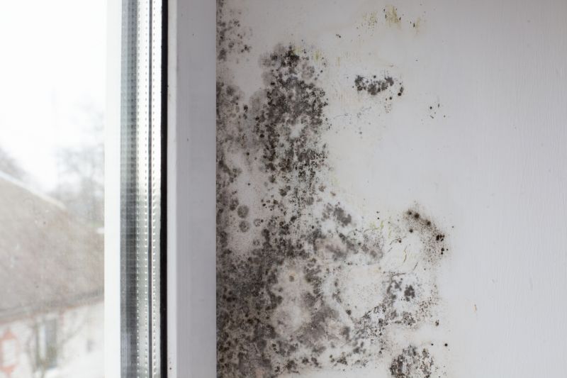 Mold Removal in Fort Lauderdale, FL