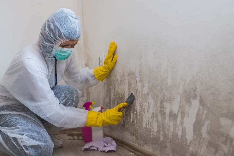 Mold Restoration in Bergen County, NJ