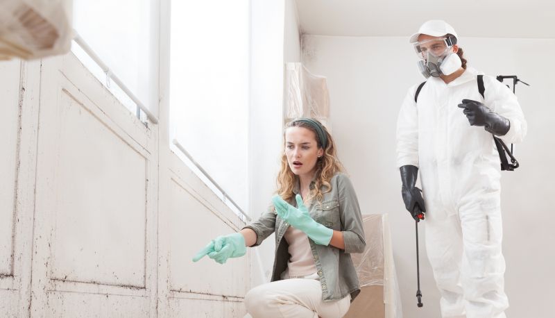 Attic Mold Remediation in Frisco, TX