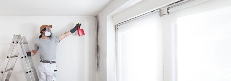 Attic Mold Removal in West Palm Beach, FL