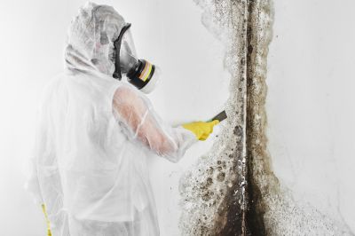 Mold Cleanup Service in Essex County, NJ