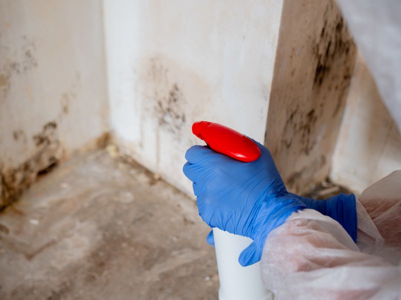 Mold Mitigation Service in West Palm Beach, FL